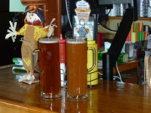 Excellent Draft Beers at the Wet Monkey Café in Astoria