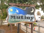 Mutiny Brewing