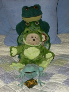 The remnants of a once great amphibian collection.....