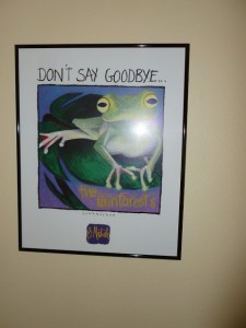 Frog Poster from Collection