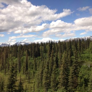 Mt. McKinley - the tallest peak in North America