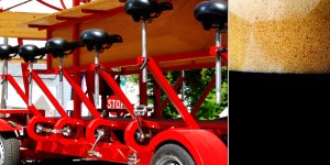 Picture from the Pedalounge website (http://www.pedalounge.com/index.php)