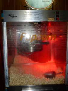 Not Mediterranean, but free.