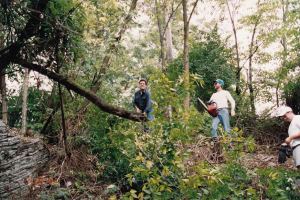 Ignorance of the law works if you don't get caught.....