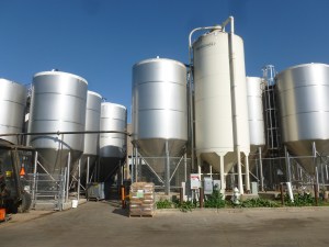 50,000 barrel capacity will double with the new brewery