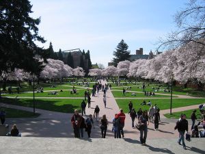 The Quad at the University of Washington - a great institution of learning