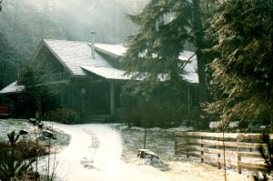 The Waldron house for many years