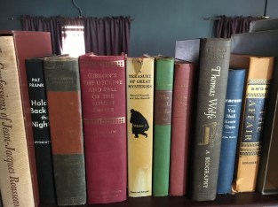 An impressive faux library...