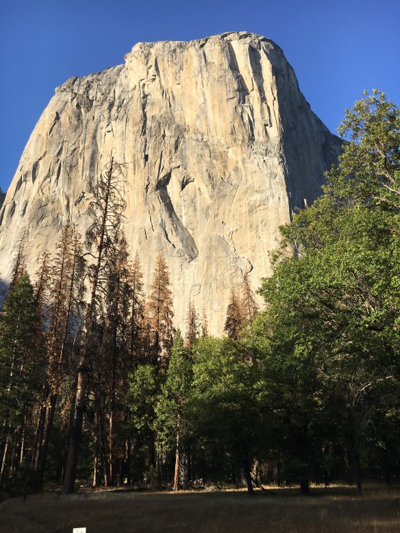 photo-sep-30-5-37-09-pm