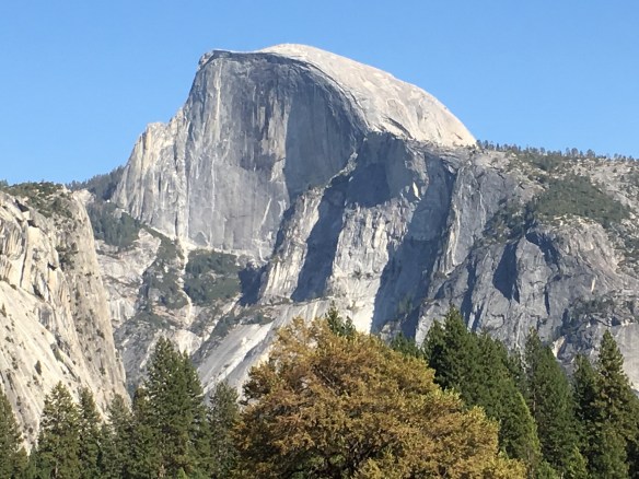 The awesome Half Dome in Yosemite National Park