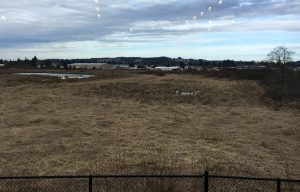 photo-feb-02-11-58-56-am