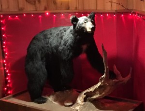 photo-jan-26-1-32-28-pm-2