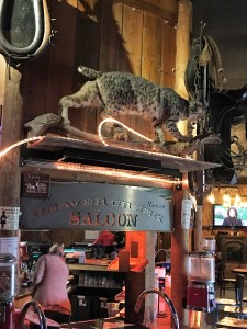 photo-jan-26-1-32-41-pm