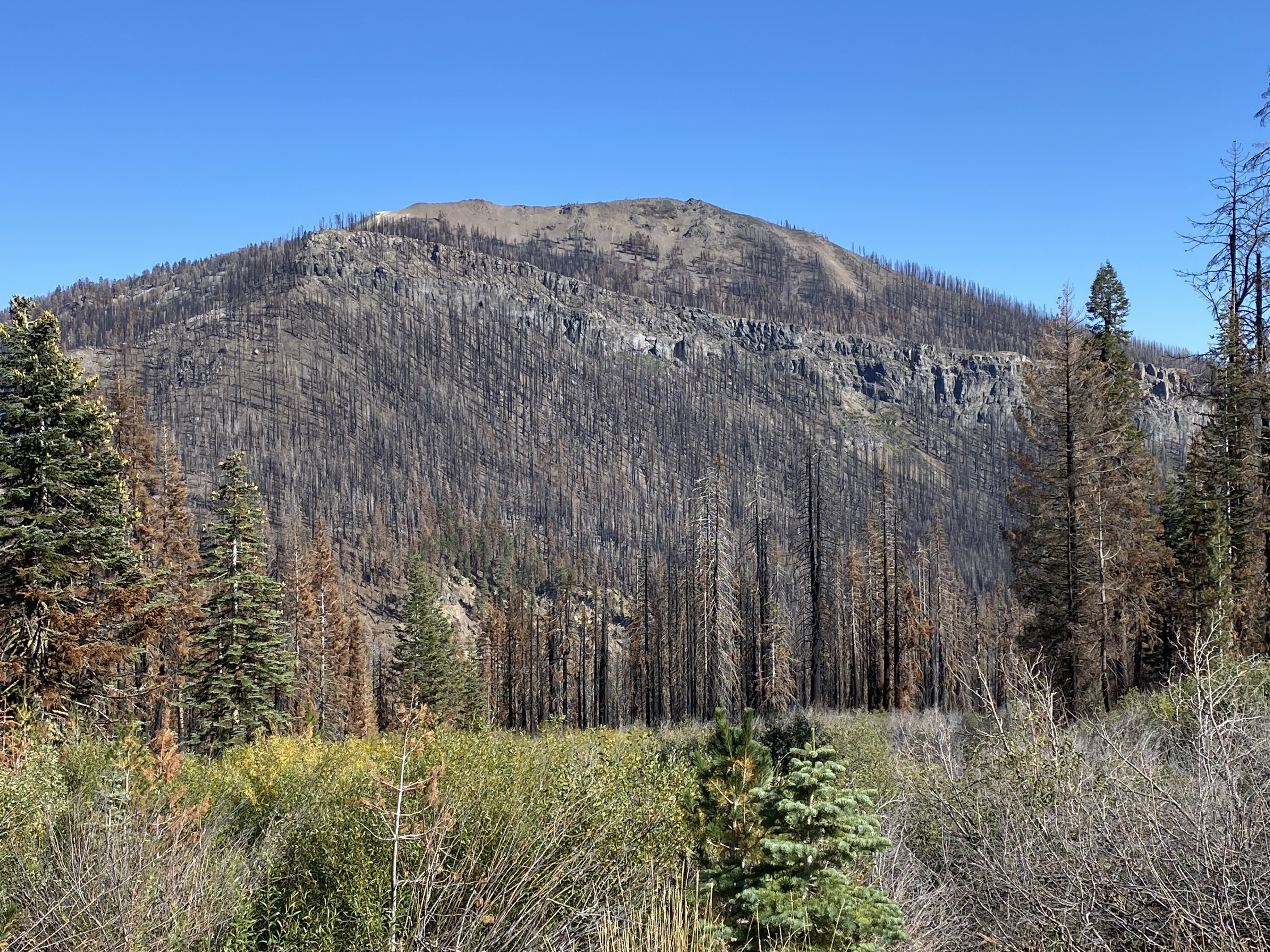 Photo Oct 03 2022, 2 49 56 PM