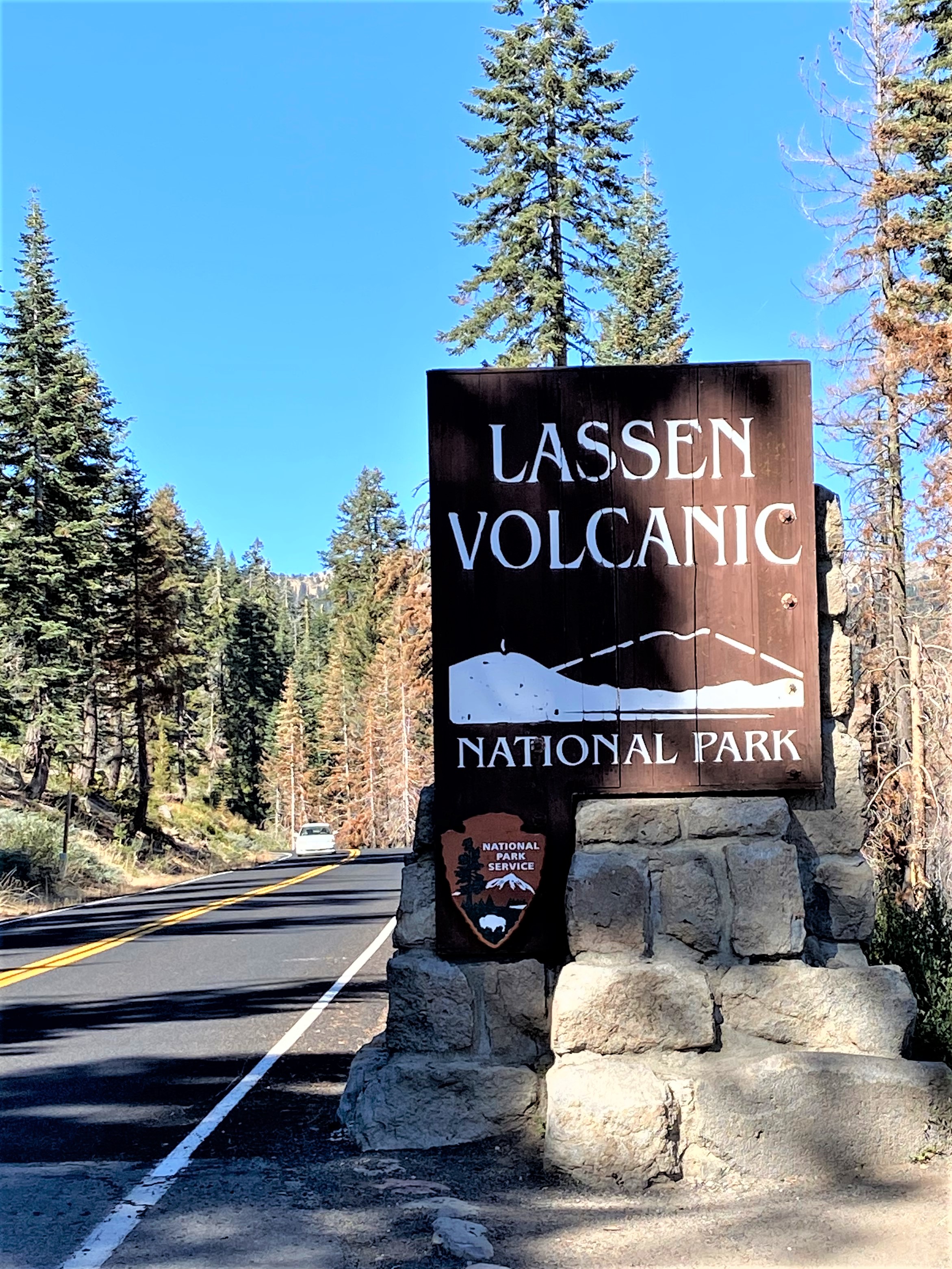 Photo Oct 03 2022, 2 52 43 PM (2)