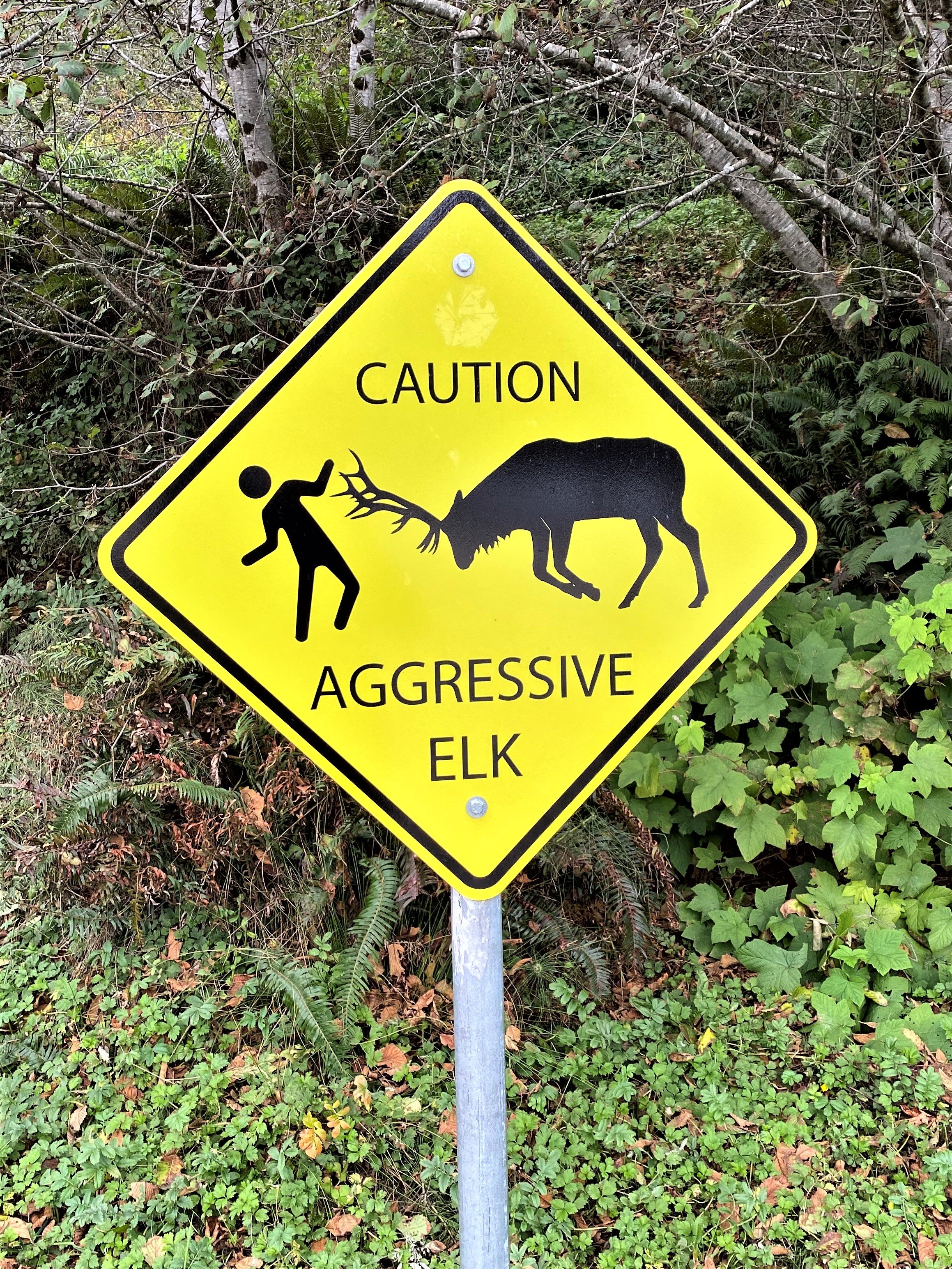 Photo Oct 05 2022, 11 39 24 AM