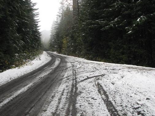 Olympic_National_Forest_-_November_2017_-_4